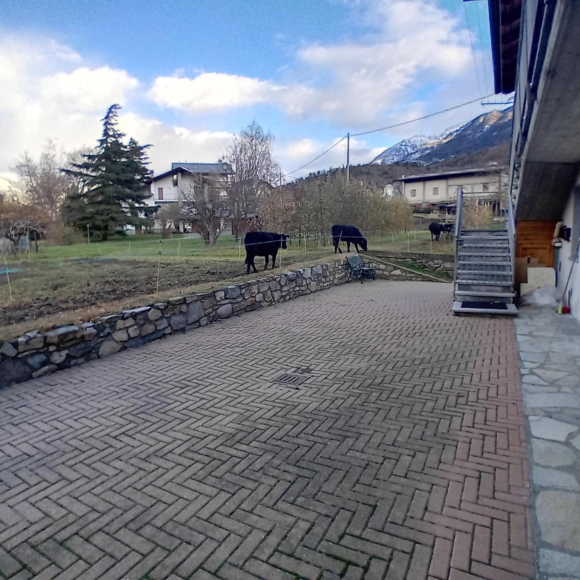 Maison Clair Vda Gressan N 0094 Аоста Номер фото